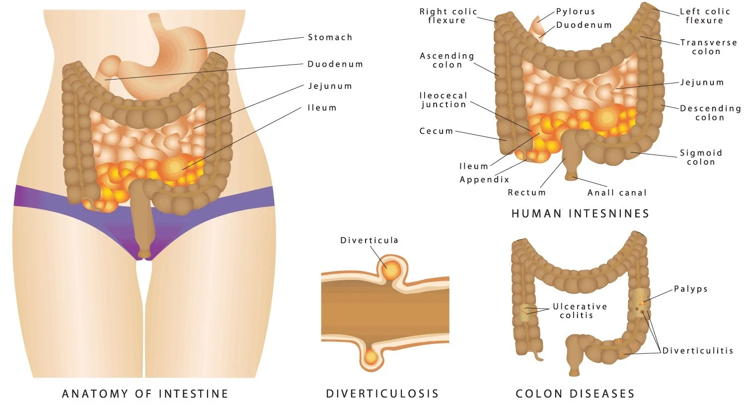 Colonic machine price in the UK: what sets cost, which configurations change it and how to request an accurate quote — máquinas de colon, equipos de hidroterapia de colon (3612).JPG